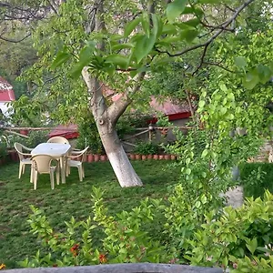 Roleo Tatil Evi Lini